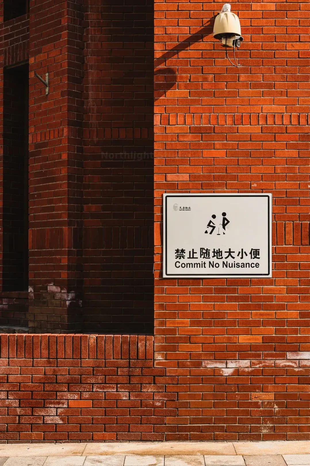 Northlight Studio 12